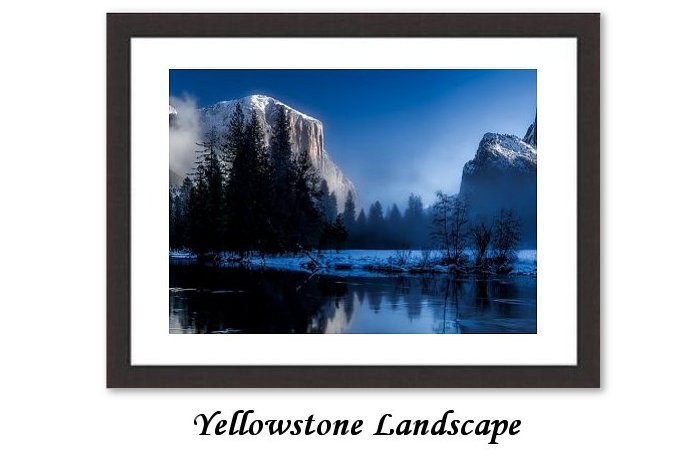 Yellowstone Landscape Framed Print